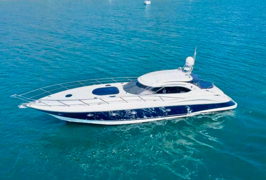 PREDATOR 66' 4 HR CHARTER